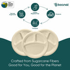 10 Inch Compostable Divided Plates