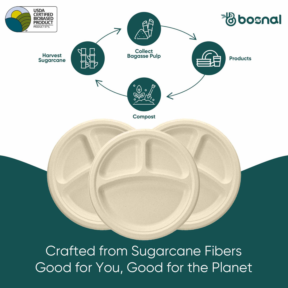 10 Inch Compostable Divided Plates