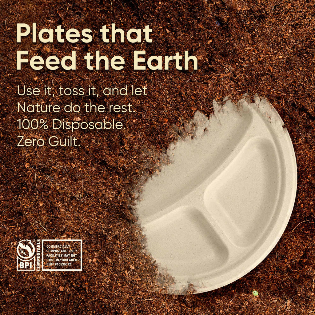 10 Inch Compostable Divided Plates