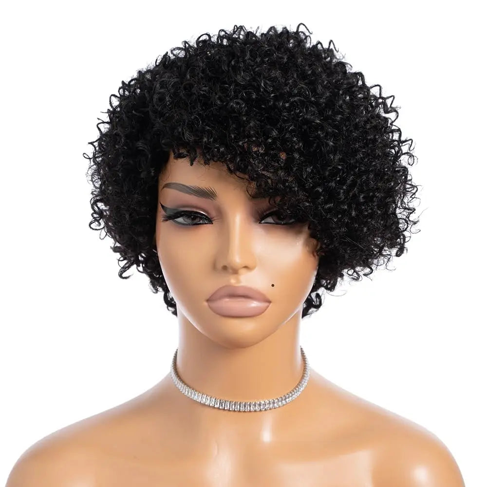Kinky Curly Pixie Lace Wig