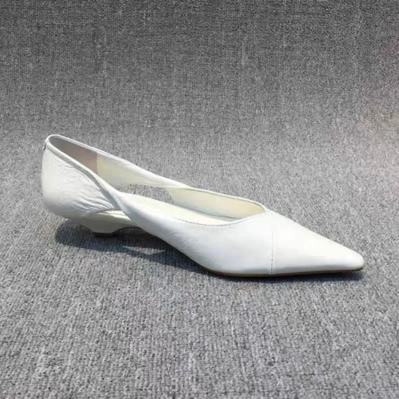 Blue Pointed Toe Low Heel Sandals