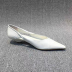 Blue Pointed Toe Low Heel Sandals