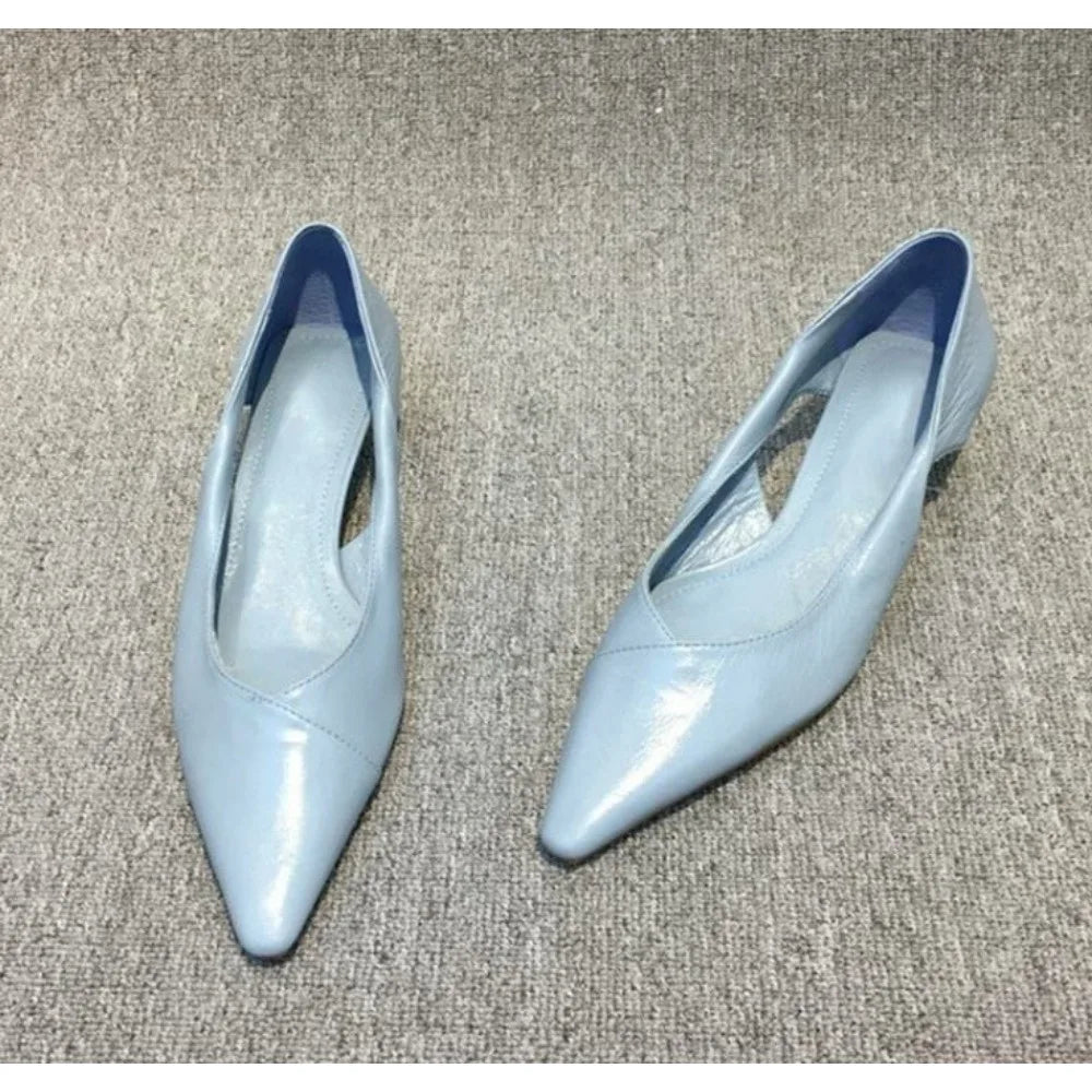 Blue Pointed Toe Low Heel Pumps