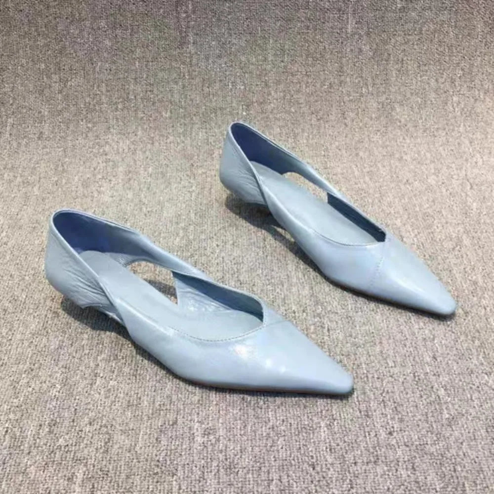 Blue Pointed Toe Low Heel Pumps