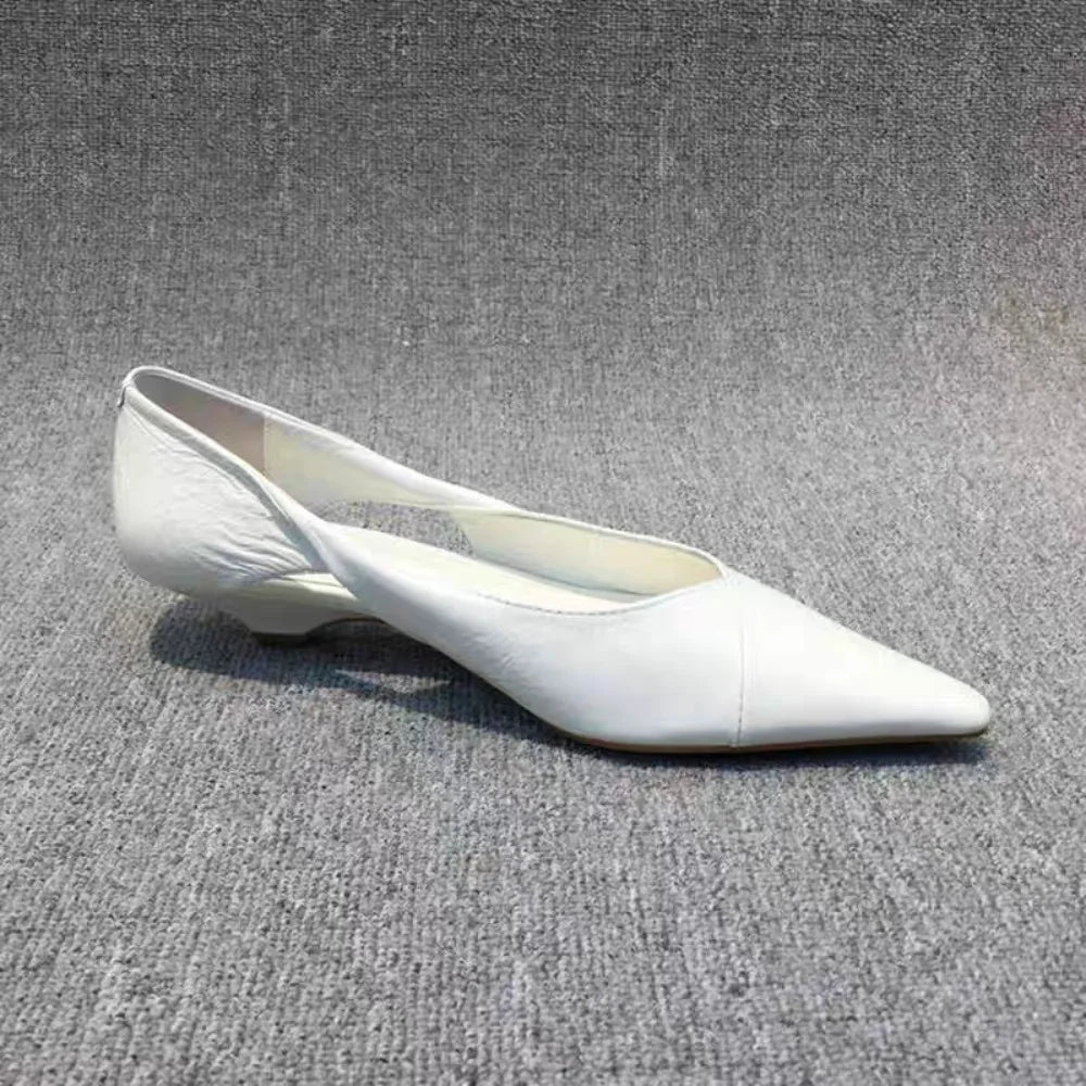 Blue Pointed Toe Low Heel Pumps