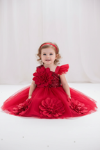 Toddler & Little Girls Birthday & Party Butterfly Dress