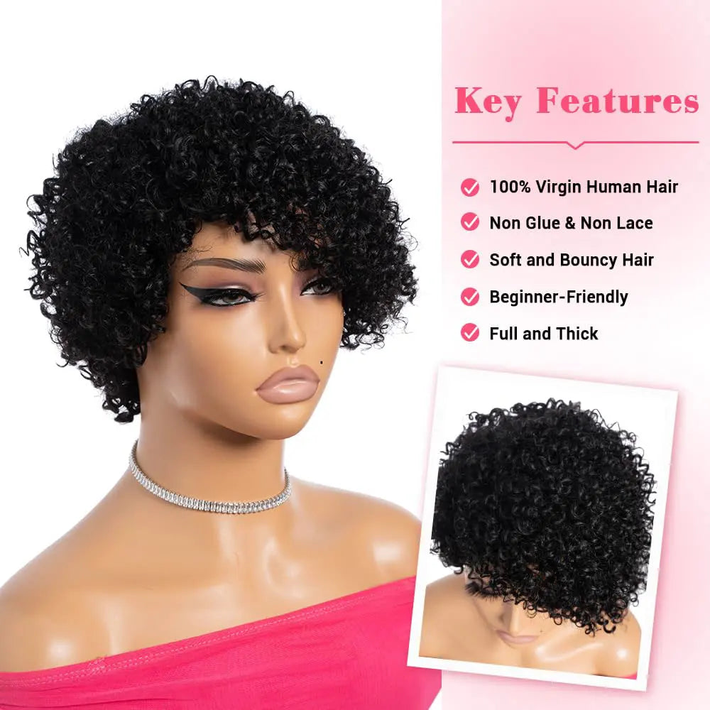 Kinky Curly Pixie Lace Wig