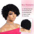 Kinky Curly Pixie Lace Wig