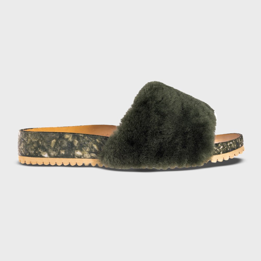 San Ysidro Slide - Forest - Pendo Store