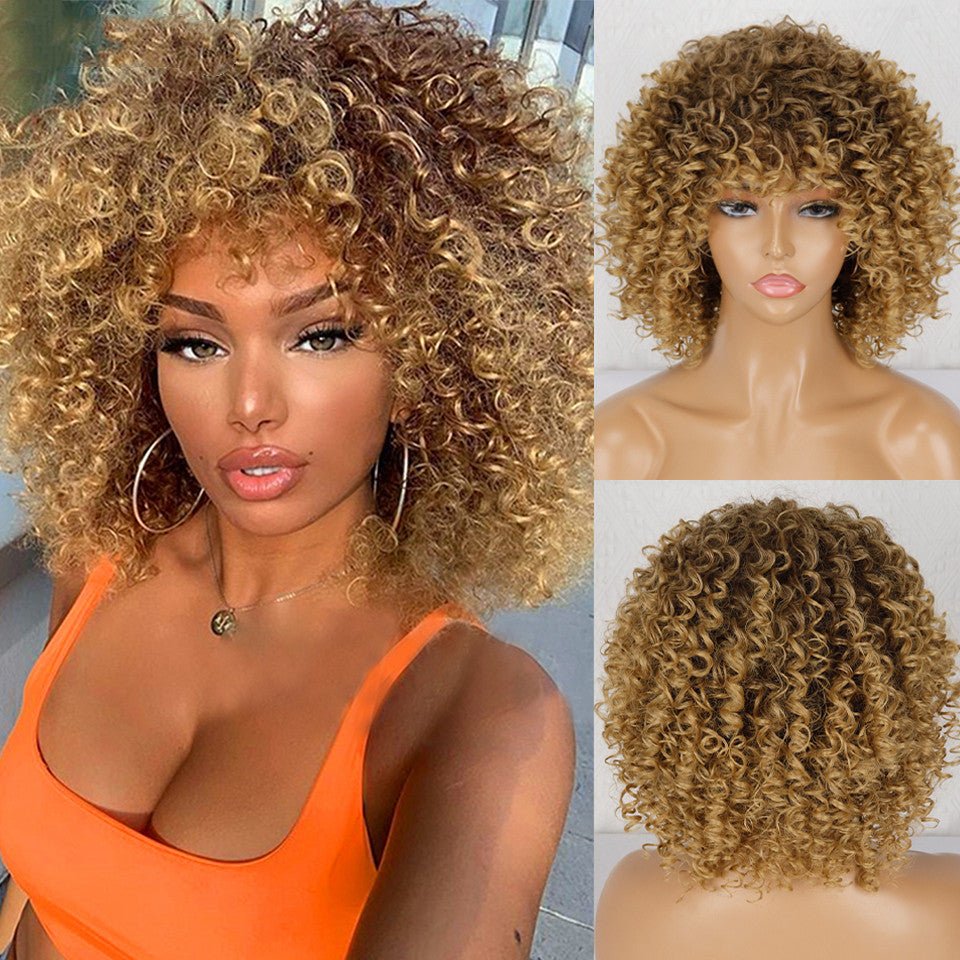 Synthetic Afro Curly Wig African Wigs For Black Women - Pendo Store