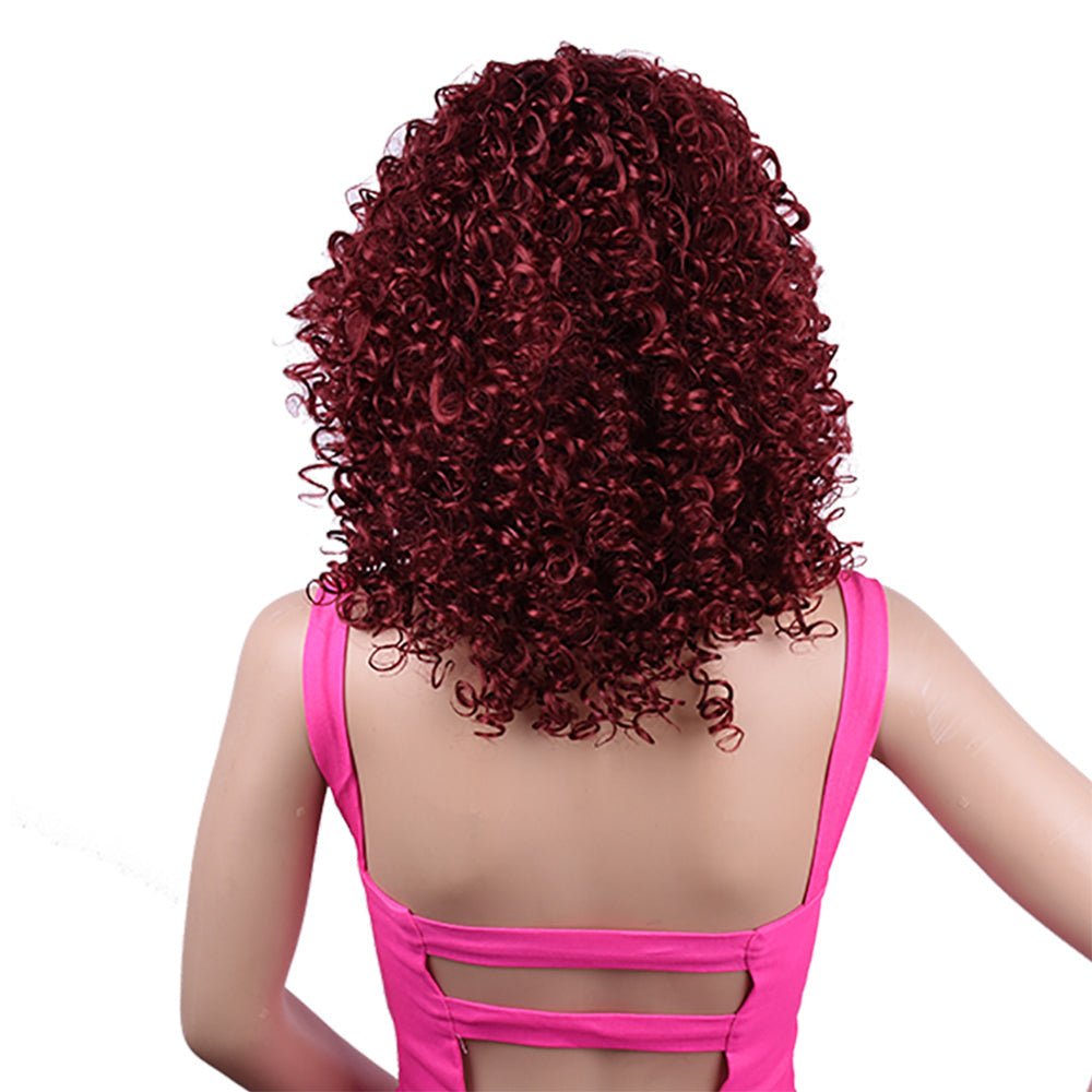 Synthetic Afro Curly Wig African Wigs For Black Women - Pendo Store