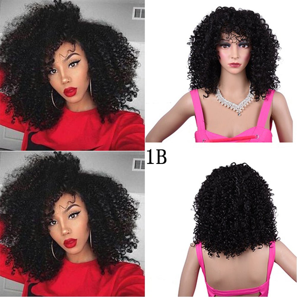 Synthetic Afro Curly Wig African Wigs For Black Women - Pendo Store
