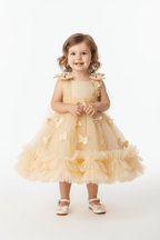 Toddler & Little Girls Birthday & Party Butterfly Dress - Pendo Store