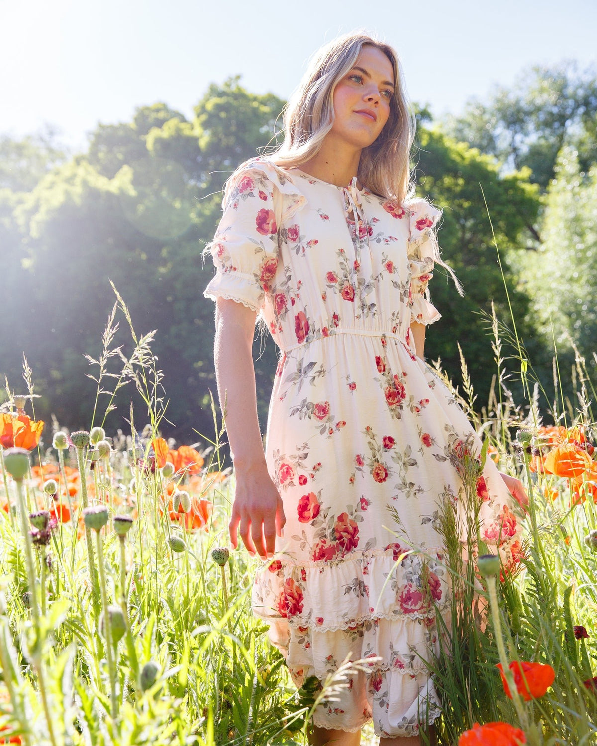 Vintage Romance Dress - Pendo Store
