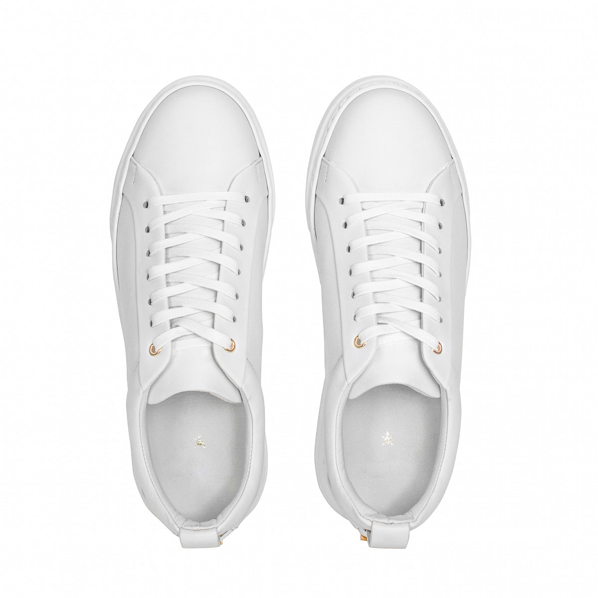 Women's Traviata - White - Pendo Store